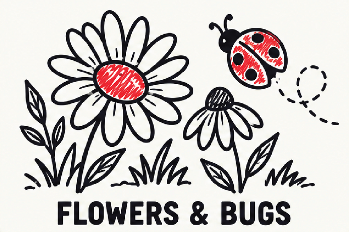 Flowers & Bugs